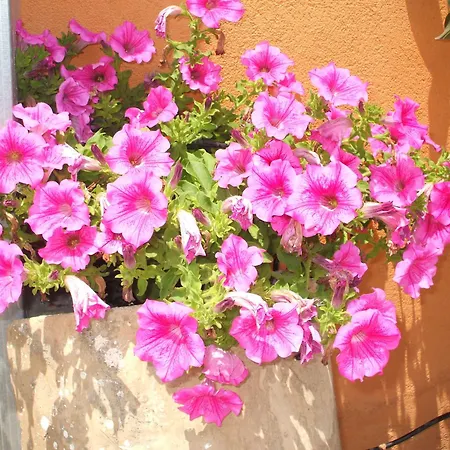 Giovanna Alojamento de Acomodação e Pequeno-almoço Giardini Naxos